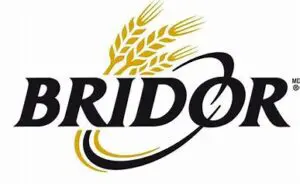 Logo of the community-based bridor featuring stylized black text with a golden wheat sheaf and swoosh accentuating the letter "b.