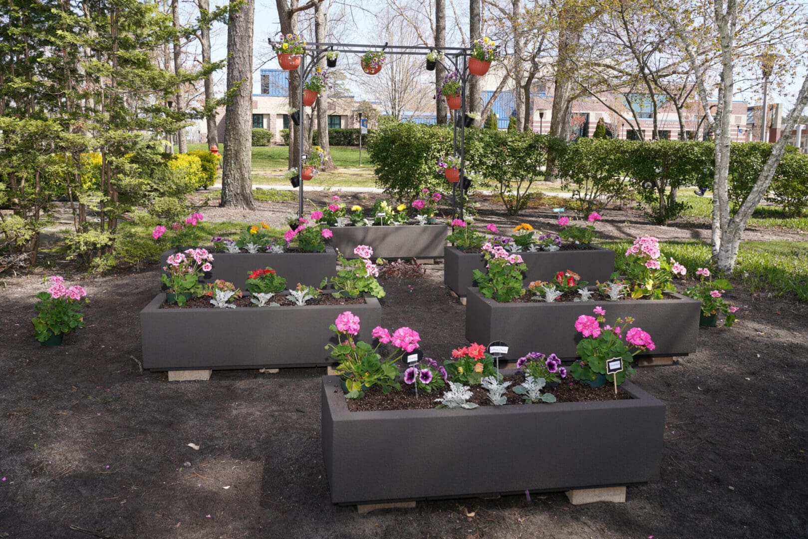 Community Garden